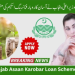 CM Punjab Asaan Karobar Loan Scheme Program