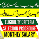 School Teaching Interns Program